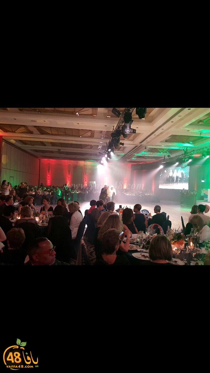 joba fonoona (8).jpg